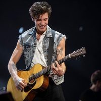 Alegre fiesta pop del canadiense Shawn Mendes