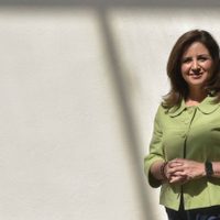 Proponen eliminar el IVA a toallas sanitarias, tampones y copas menstruales