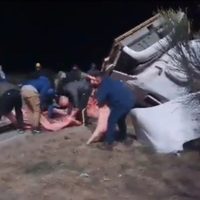 Un camión cargado con más de 20 mil kilos de carne fue saqueado tras volcar en San Luis