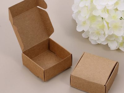 Con 1 caja de cartón vieja y paletas de helado: creá esta hermosa maceta para tus plantas artificiales