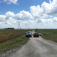Mueren 16 al desplomarse globo aerostático en Texas (Video)