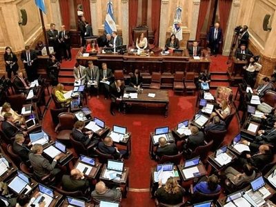 Senado: la suspensión de las PASO tiene dictamen y será tratada en el recinto