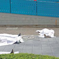 Colombia: una 'venganza genocida”