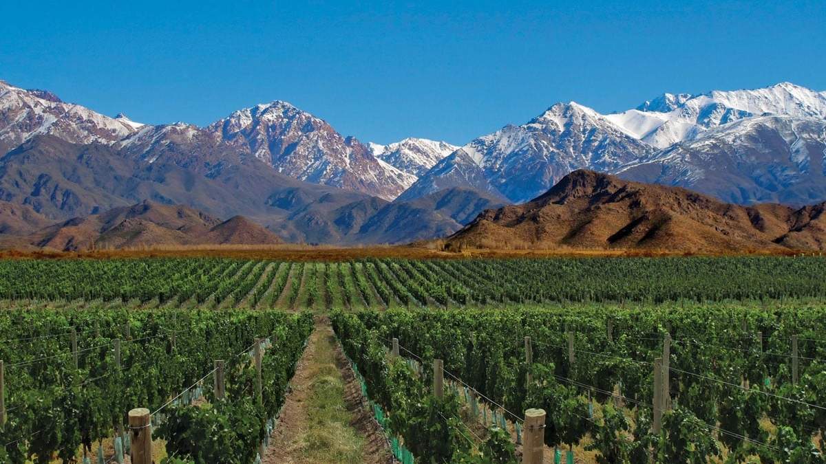 Entregarán subsidios para productores vitivinícolas. Fuente: (Twitter)