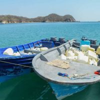 La Marina asegura 550 kilogramos de cocaína y combustible en costas de Oaxaca