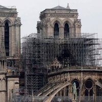 Evalúan robles centenarios para restaurar la aguja de la Catedral de Notre Dame