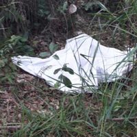 Con huellas de violencia sexual, hallan muerta a menor desaparecida en Chiapas