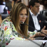 Diputada Camaño: "Discutir una reforma judicial en plena pandemia es inoportuno"