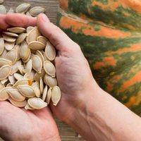 No tires las semillas de zapallo: mirá lo nutritivas que son y cómo podés usarlas