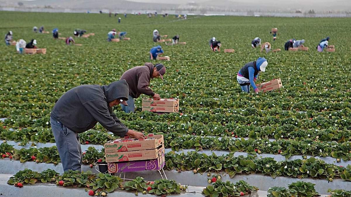Jornaleros agrícolas. Con posibilidades