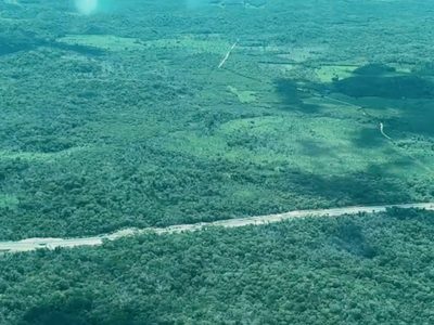 AMLO presume avance del Tren Maya: “tuvimos que enfrentar amparos y a pseudo ambientalistas”