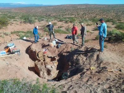 Descubren restos fósiles de un nuevo dinosaurio en Neuquén que vivió hace 86 millones de años