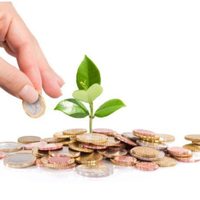 Astros y fortuna: los signos del Horóscopo Chino que caminarán bajo la lluvia del dinero