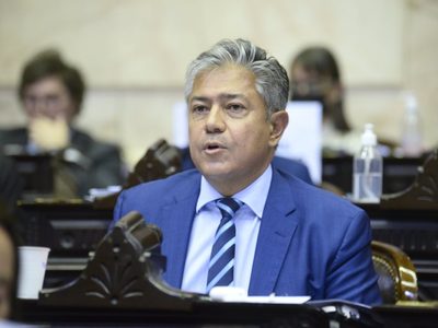 Rolando Figueroa le pidió a Nación explicaciones por los incendios en Aluminé
