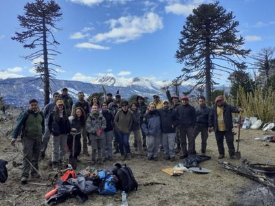 Más de 100 voluntarios plantaron 3600 araucarias en laderas del lago Ñorquinco