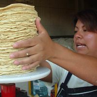 Exigen revisar norma que regula especificaciones sanitarias e información comercial de la tortilla