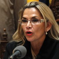 Desde una cárcel de Bolivia, Jeanine Áñez pidió una audiencia con Naciones Unidas