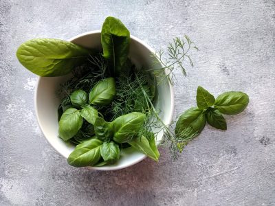 Los secretos de oro para tener tu planta de Albahaca envidiable y con las hojas más frescas