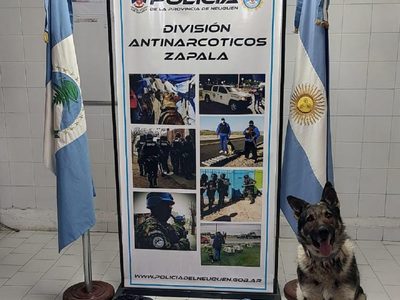 Zapala: detuvieron a un pasajero que llevaba marihuana por más de 8 millones de pesos en un colectivo