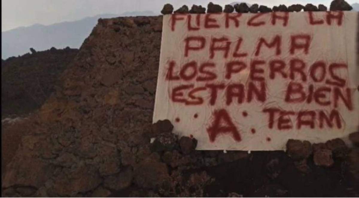 El grupo "A Team" colgó una manta asegurando que los perros están bien