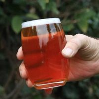 Una fiesta cervecera  de Aluminé con las marcas artesanales más prestigiosas