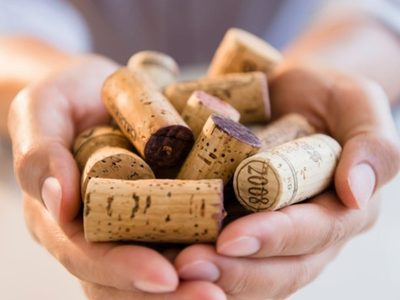 El verdadero motivo por el que tenés que poner corchos en las macetas de tus plantas