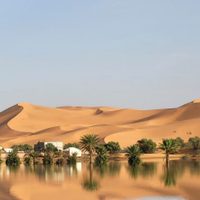 Se inunda el desierto del Sahara por primera vez en 50 años (Video)