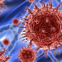 Coronavirus: ¿Cómo queda el organismo después de superar la enfermedad?