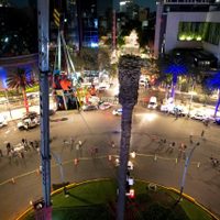 Así fue retirada la palma durante la madrugada