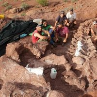 El Museo Olsacher de Zapala en la consideración mundial ante un hallazgo histórico