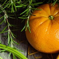 No gastes en aromatizantes carísimos: mirá cómo preparar el más rico con cáscaras de cítricos