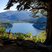 Vacaciones 2025: cuánto cuesta visitar los Parques Nacionales de la Patagonia este verano