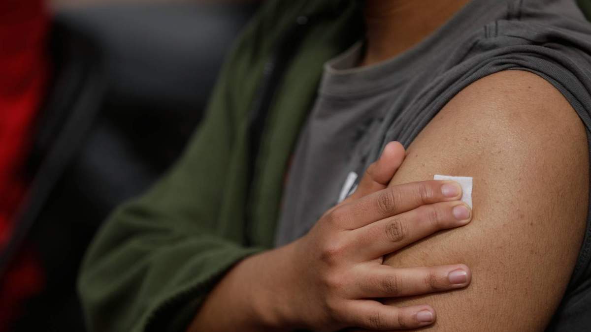 Hasta la fecha han sido vacunadas 84 millones 16 mil 11 personas