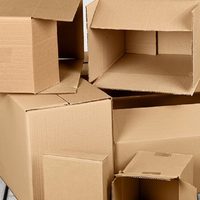 No tires las cajas de cartón: mirá esta opción decorativa e inspirada en la naturaleza