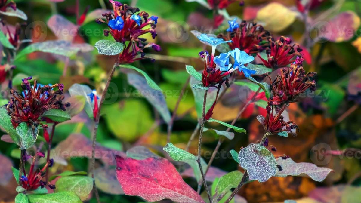 Planta. Fuente: (Instagram)