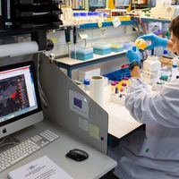Coronavirus en La Patagonia: ¡Dos casos más confirmados!