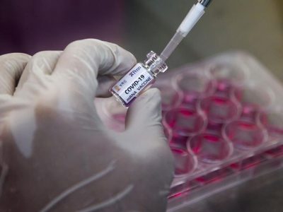 Coronavirus: 11 nuevos casos confirmados que afectan a cinco localidades neuquinas