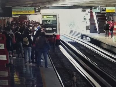 Usuario del Metro baja a vías para rescatar a perro en la estación Jamaica