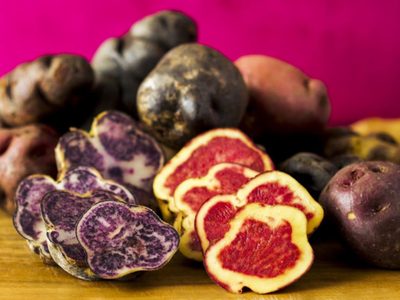 Papa andina: sabor y color regional