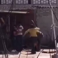 Una familia golpea hasta matar a un perro que siempre estuvo encadenado