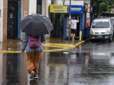 Árboles caídos y casas anegadas por la tormenta