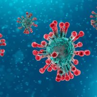 2 nuevos casos y 4 ciudades con circulación comunitaria de coronavirus: así está Río Negro