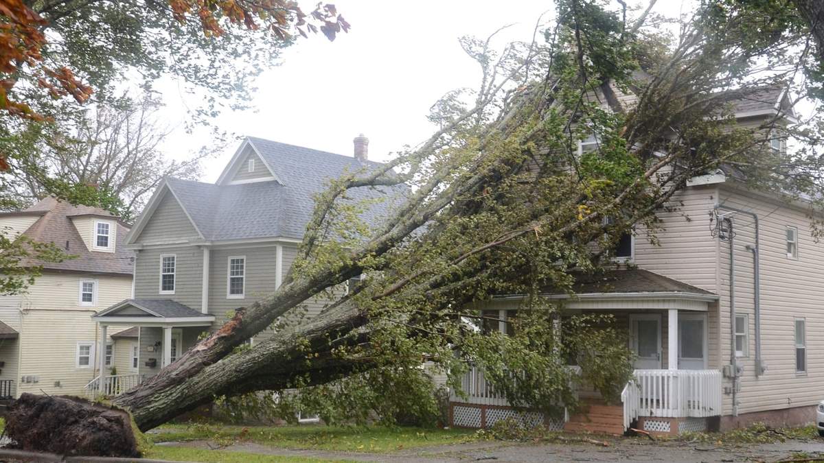 Árboles derribados por "Fiona" en Canadá