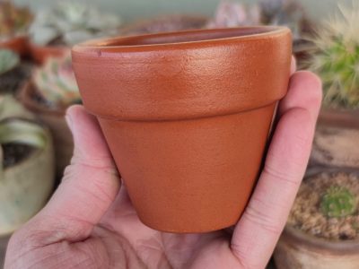 Sin gastar fortuna en un bazar: creá esta maceta "low cost" y súper útil con portavelas