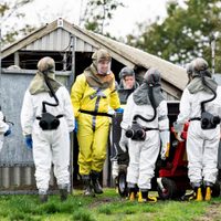 Ascienden a 214 las personas infectadas por la mutación del coronavirus en Dinamarca