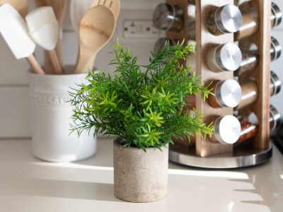 5 consejos que te ayudarán a cultivar romero en casa