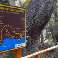 Denunciaron la desaparición de 10 millones de pesos destinados a la reserva Selva Triste