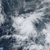 Milton se convierte en tormenta tropical en el Golfo de México; podría tomar fuerza de huracán