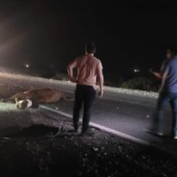 Un animal suelto en la ruta 22 provocó un accidente cerca de Plaza Huincul