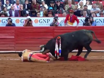 Toro “Heroico” atesta cornada al matador Héctor Gutiérrez en la Plaza México